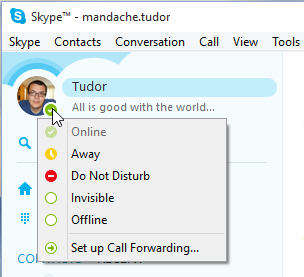 Skype, Windows, app, how to, use, manage, profile, privacy, settings