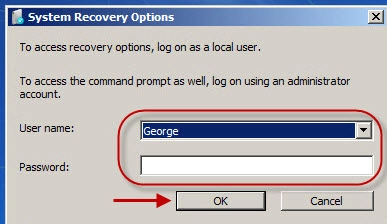 System Recovery Options