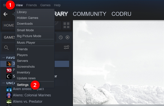 The Settings entry from Steam's View menu