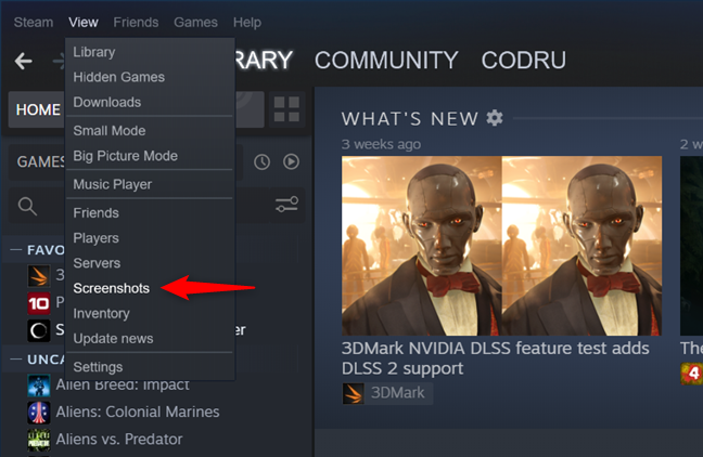 The Screenshots entry from Steam's View menu