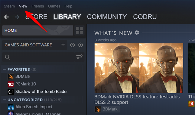 The View menu button from Steam