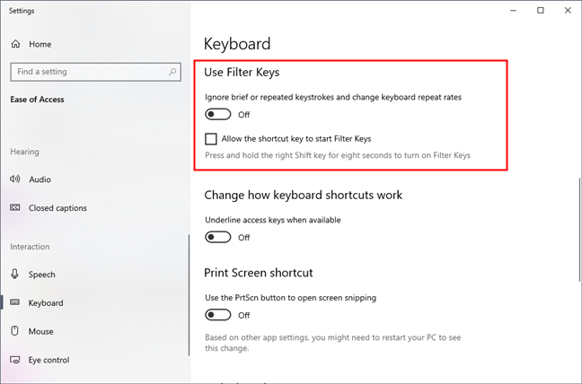 Turning off Filter Keys and the right SHIFT key shortcut