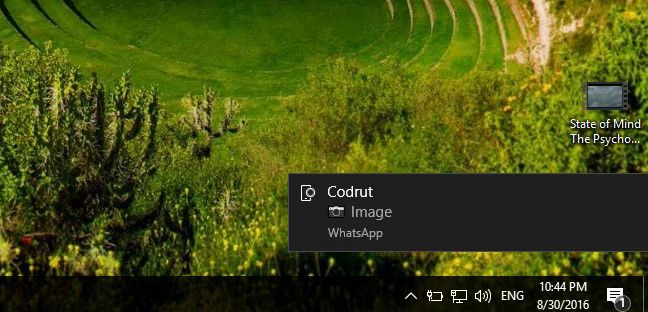 stop, notifications, sync, Windows 10, computer, Windows 10 Mobile, smartphone