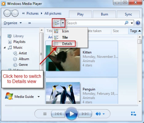 Windows Media Player 12