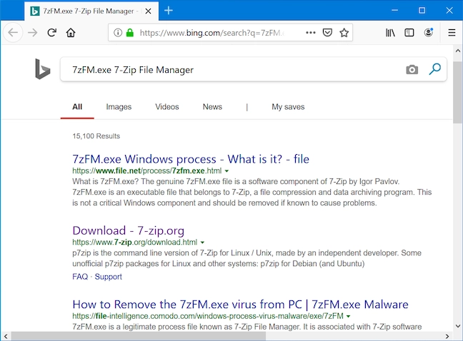 Your browser runs a Bing search with the name of the process