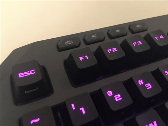 The media buttons found on the ASUS TUF Gaming K5 keyboard