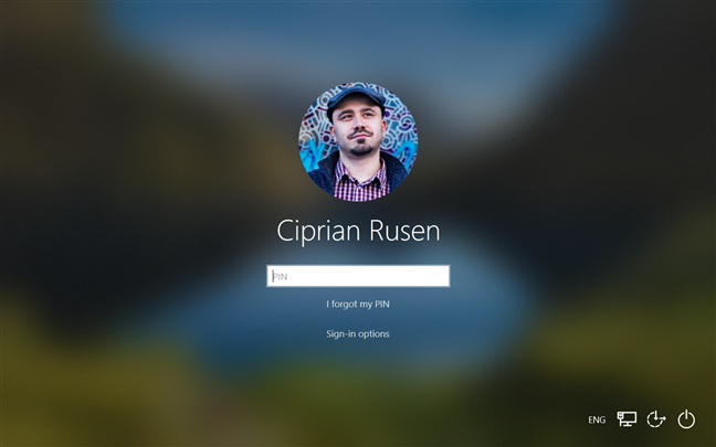 The Windows 10 login screen
