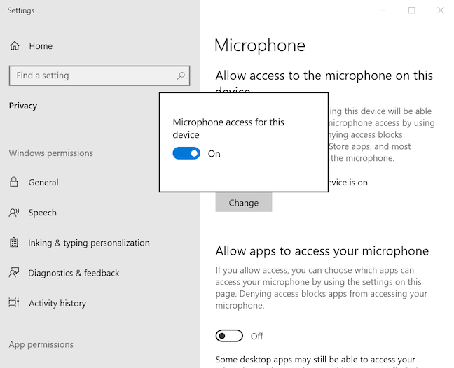 Enable Microphone access for this device