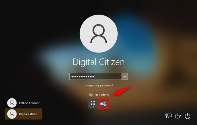 Windows 10 sign-in options: Choosing Password