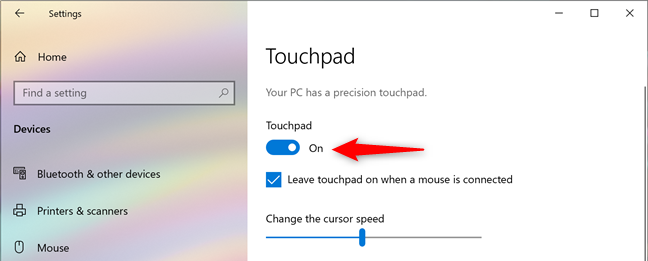 The switch that turns the touchpad on or off