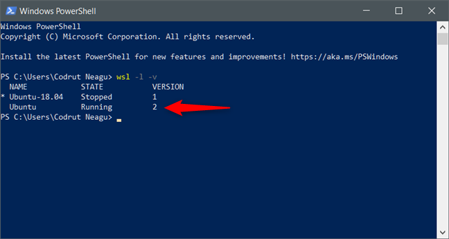 Windows Subsystem for Linux (WSL) version 2