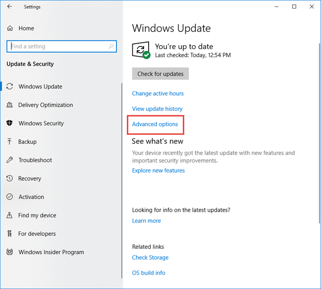 Click Advanced options in Windows Update