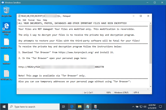 Running an executable file which proved to be ransomware, in Windows Sandbox