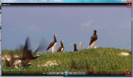 Windows Media Player 12