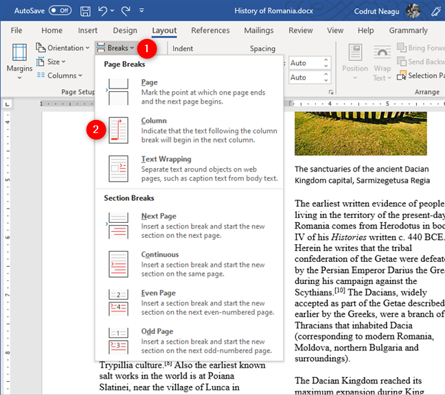 Choosing to insert a Column break