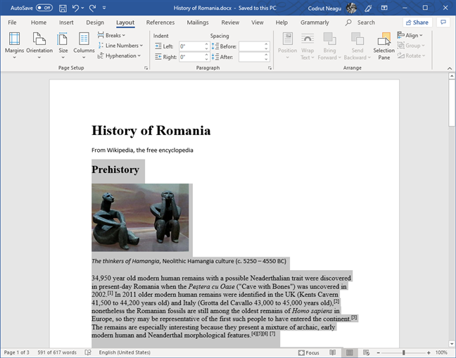 Selected text in Microsoft Word