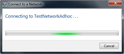 Wireless Ad Hoc Network