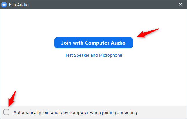 Zoom Meeting: Join with Computer Audio