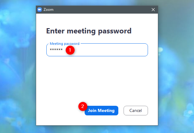 Typing the password of the Zoom meeting