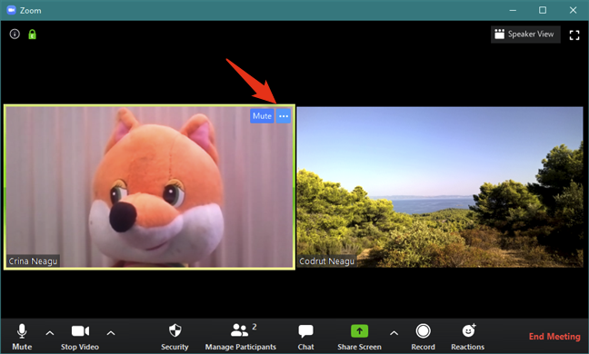 The menu button of a Zoom meeting participant