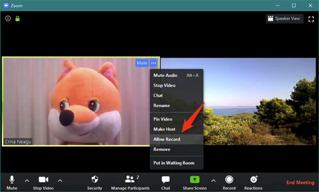 Allow Record for a Zoom meeting participant