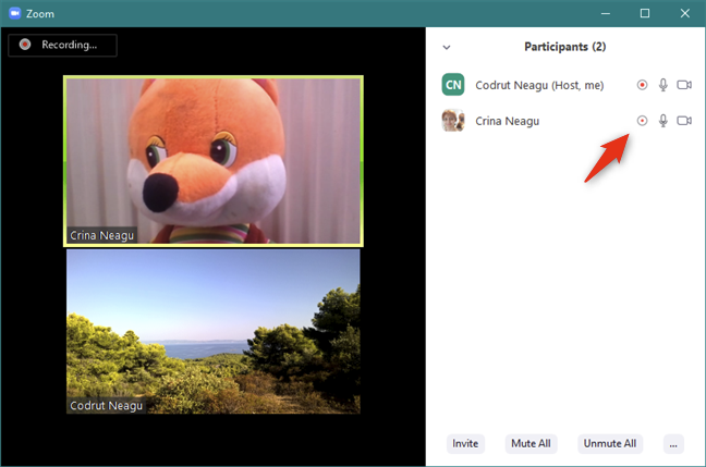 People who are recording are highlighted in the Participants panel