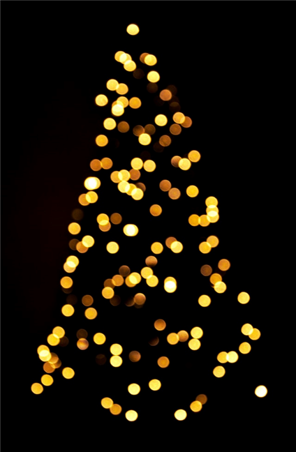 Out-of-focus Christmas tree lights by Sneha Cecil