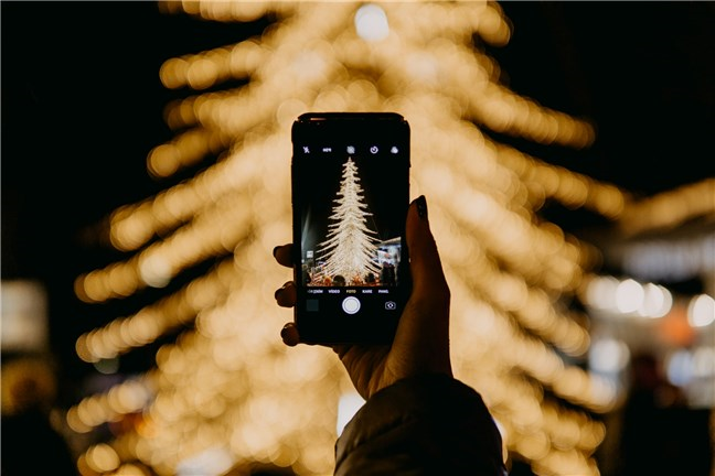 Taking a Photo of the Christmas Tree by Sabri Tuzcu