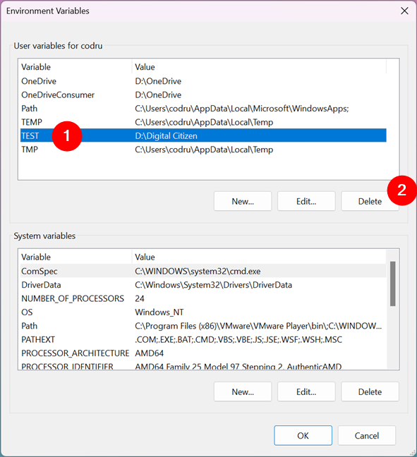 How to delete an environment variable in Windows