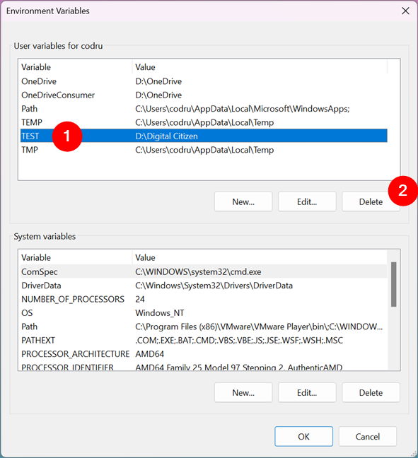 cmd.exe: Show/Set Environment Variable