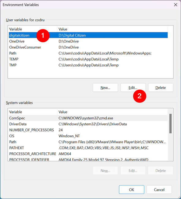 How to edit an environment variable in Windows