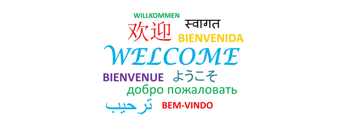 Translate the Windows sign-in screen into your local language