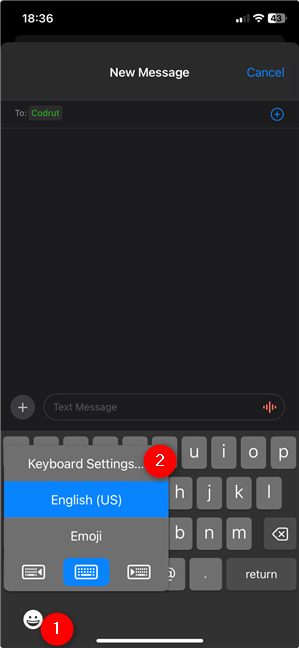 You can access the iPhone Keyboard Settings when the keyboard pops up