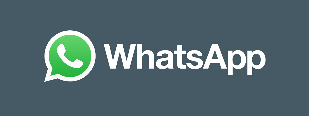 How to add a contact to WhatsApp on Android: 4 ways