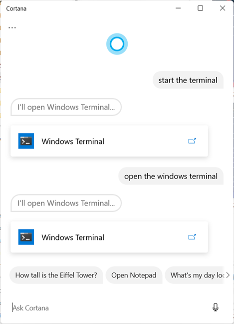 Cortana can start the Windows Terminal for you