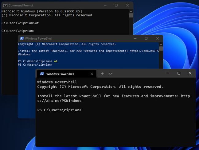 The Windows Terminal can be opened from CMD and PowerShell
