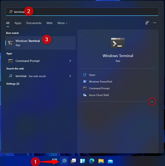 Search for terminal in Windows 11