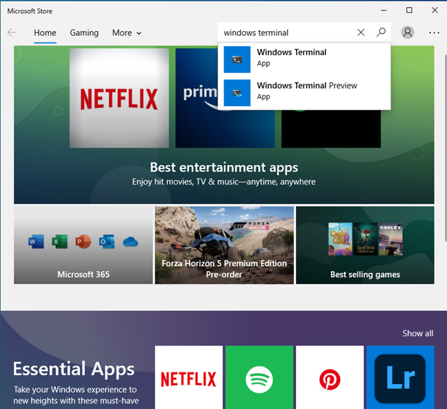 Search for Windows Terminal