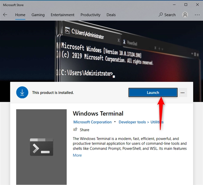 Launch Windows Terminal