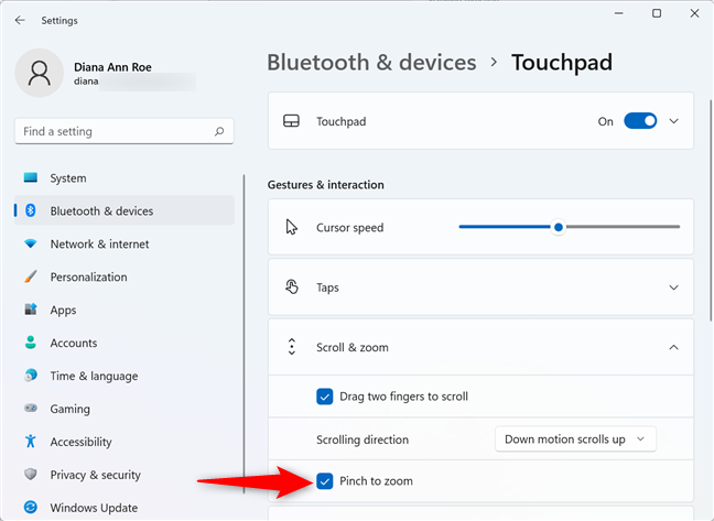 Check the box to use the touchpad for zooming in and out