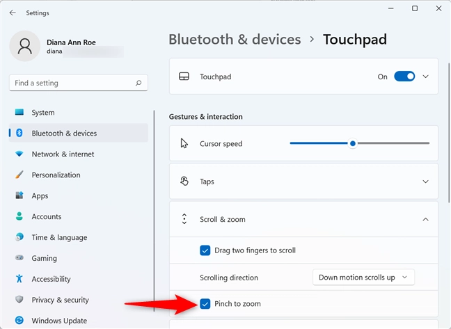 Check the box to use the touchpad for zooming in and out
