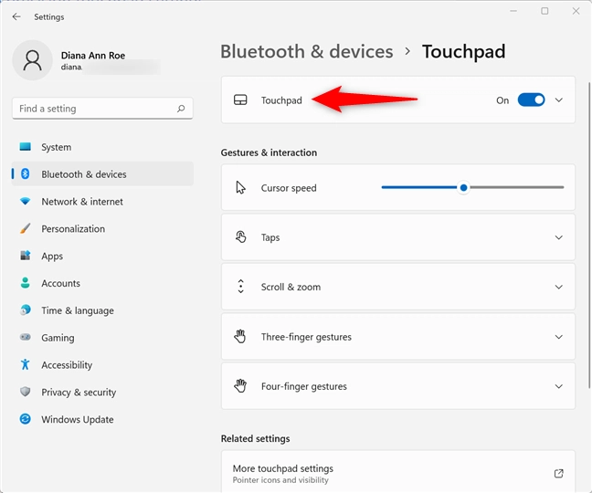 Access the Touchpad section
