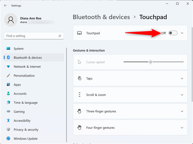 Turn Off the master switch to disable the touchpad on Windows 11