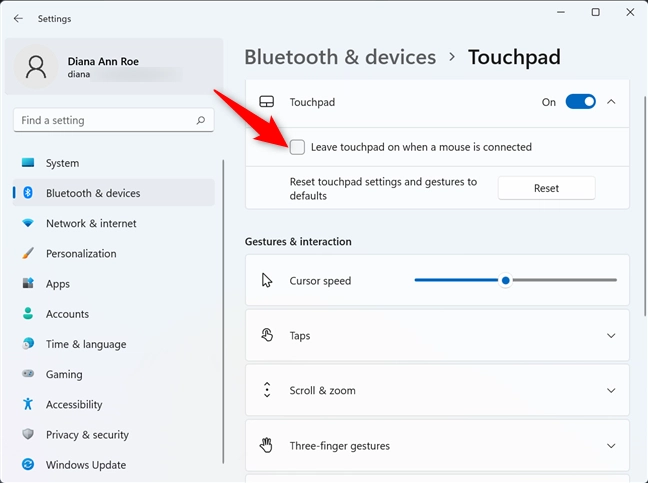 Uncheck the box to turn off touchpad when a mouse is plugged in Windows 11