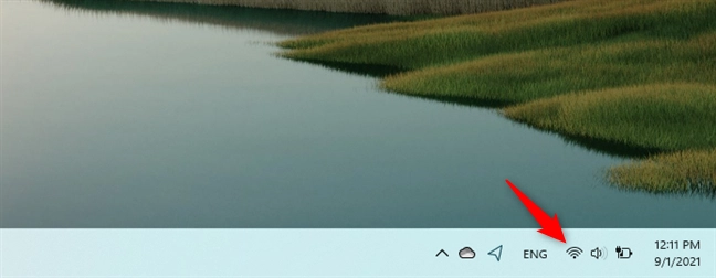 The system icons from the Windows 11 taskbar