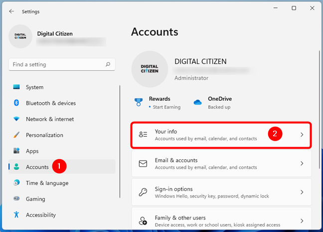 Access Your info in Windows 11's Settings app