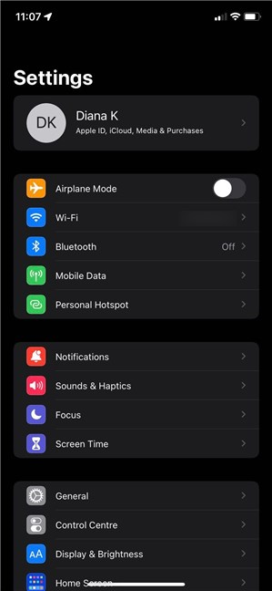 Opening the iPhone Settings application reveals a menu