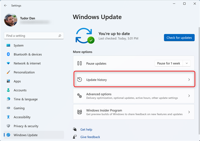 Go to Update history in the Windows Update section of the Settings app