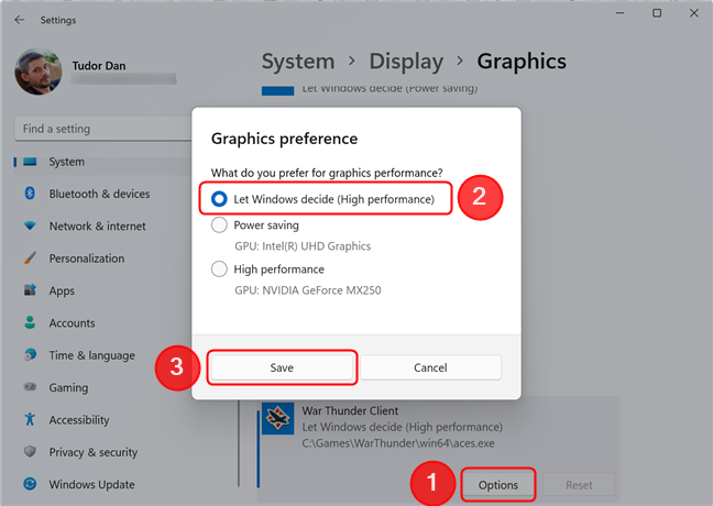 Let Windows choose which video card to use