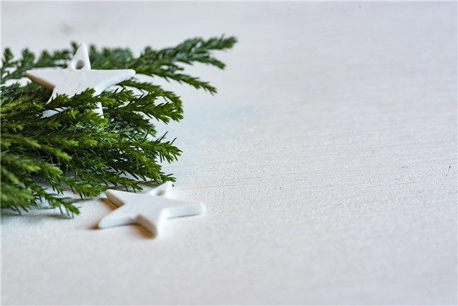 White Christmas Stars by Joanna Kosinska